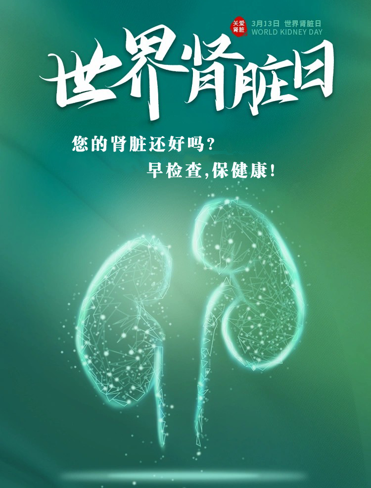 糖肾医生敲黑板：早查早护，别让“沉默的滤网”悄悄罢工！